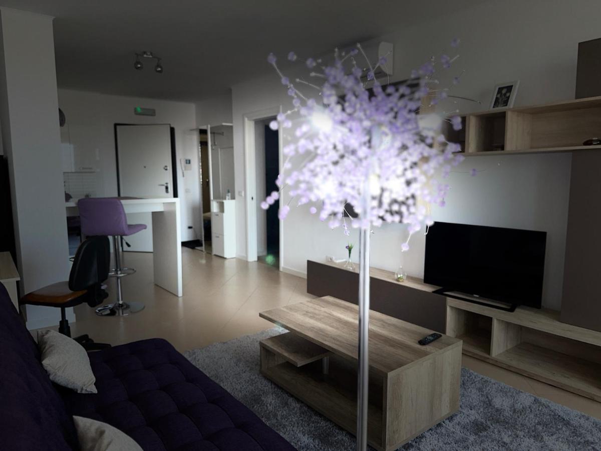 Central Apartment Timisoara Exterior foto